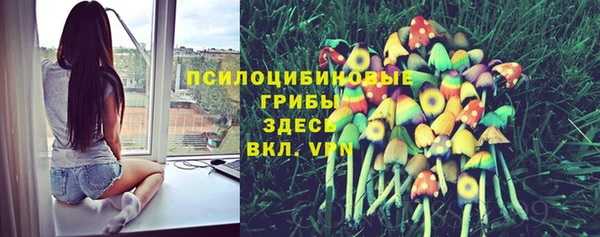 ешки Майский